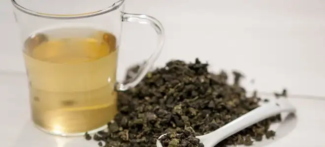 Чай молочный улун (оолонг) польза и вред, исследования свойств