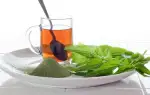 Чай из крапивы польза и вред, исследования лечебных свойств