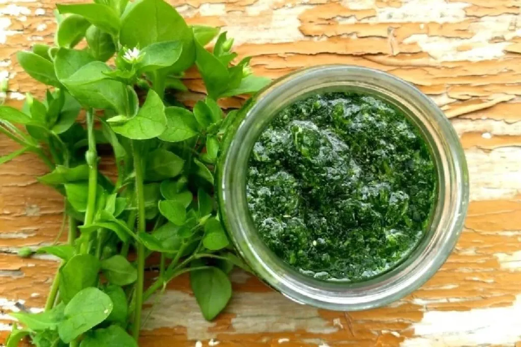 мокрица для суставов