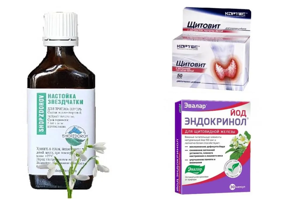 мокрица лекарственные средства